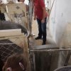 06_Od zrna po chléb